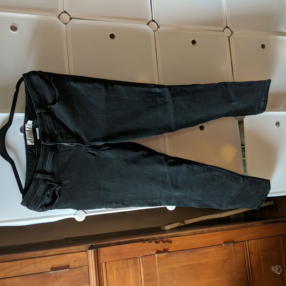 Torrid pants